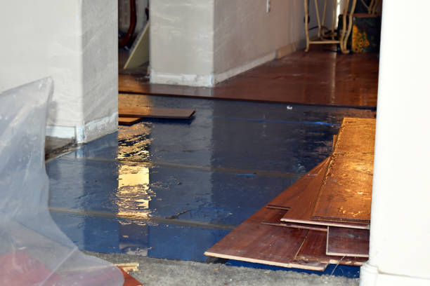 Professional Basement Flood Cleanup technician working in Amity, PA